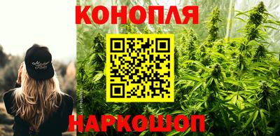 СК Будённовск