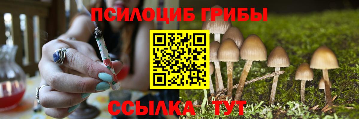 Галлюциногенные грибы ЛСД Мариинск
